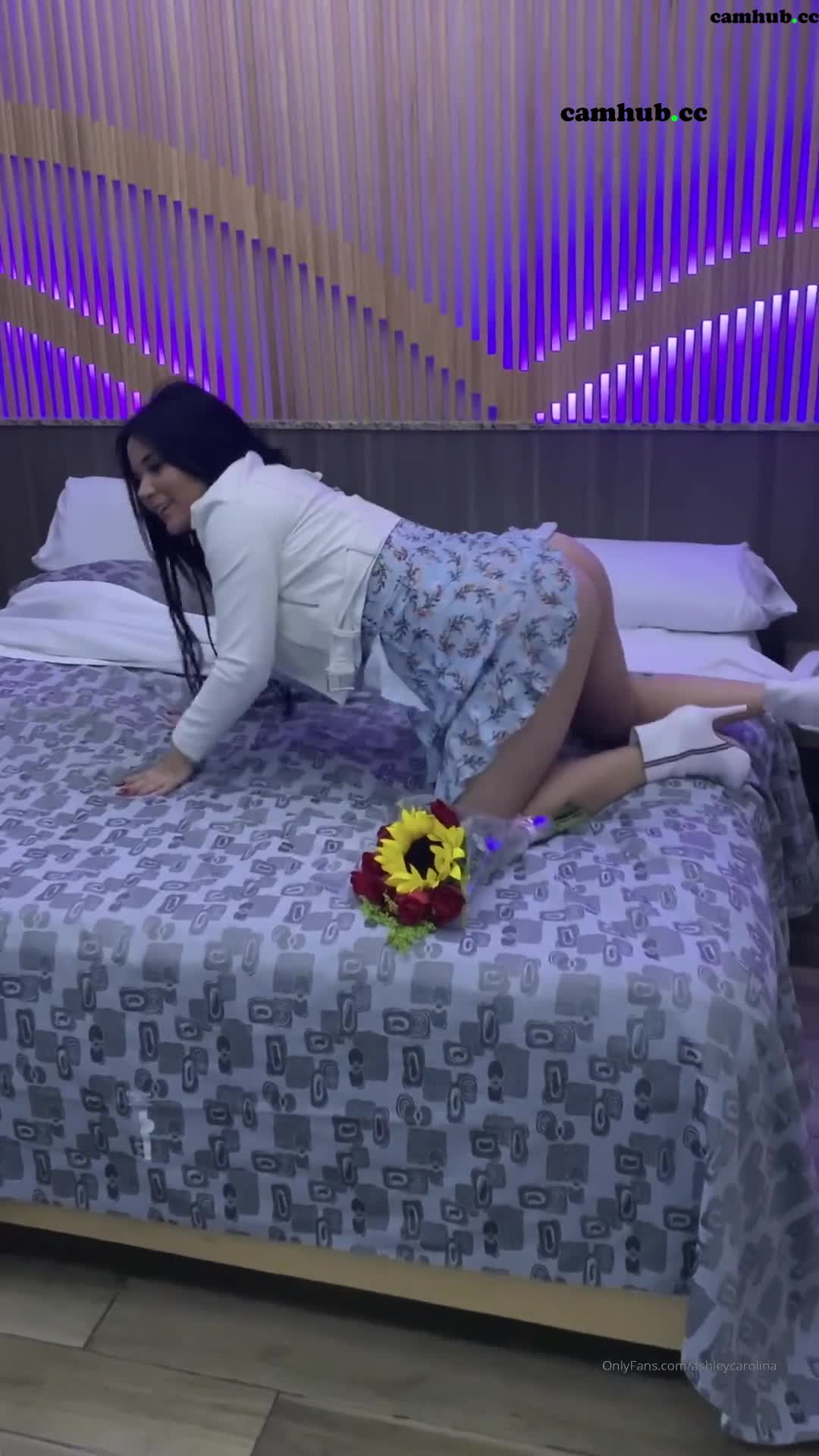 Performer Ashley Carolina aka ashleycarolina onlyfans dark haired passion shows underwear, # 1 Porn Archive - ePornREC