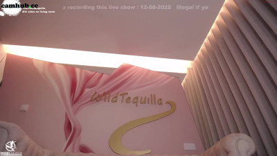 wildtequilla 13-august-2022 0311 webcam chaturbate
